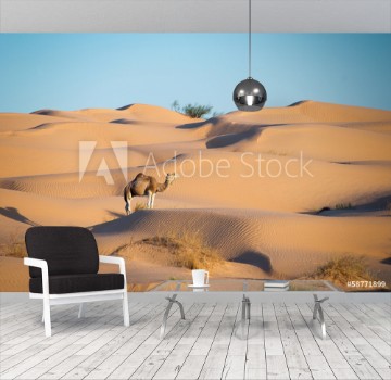 Bild på Dromadaire dans les dunes du Sahara - Tunisie